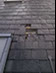 ROOF REPAIRS